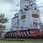 Craik Elevator with a CN train in front